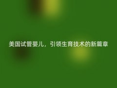 美国试管婴儿，引领生育技术的新篇章