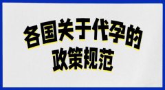 赴美生子费用明细：深度解析与案例分析