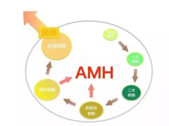 预测卵巢储备功能的黄金指标，AMH到底是个啥？浙江杭州可以做三代试管医院