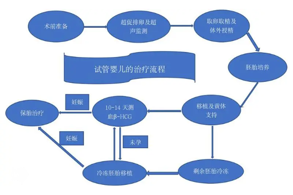 美国试管助孕全攻略分享：附高成功率医院推荐