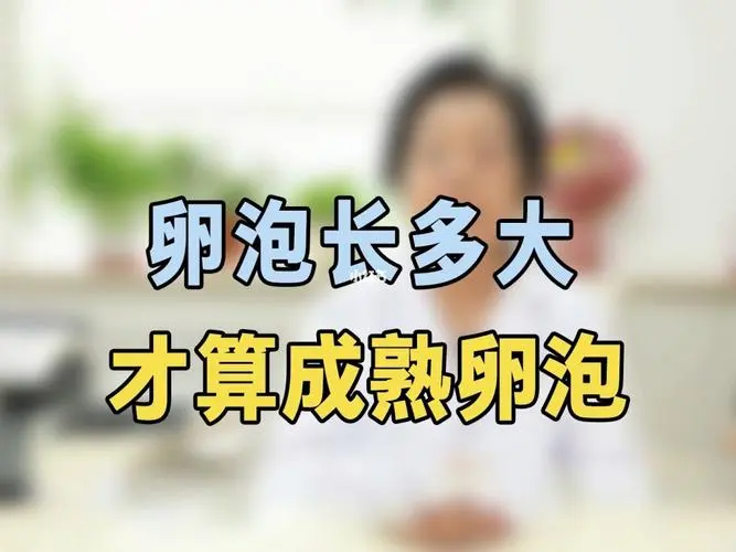 卵泡大小多少算成熟？附正常范围值介绍