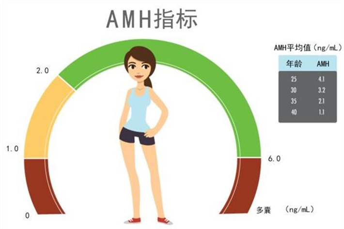 amh指标