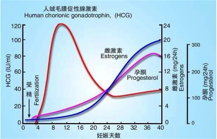 孕酮指数