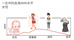 AMH低还能试管吗？3个对策高效备孕!【徐州三代试管医院】