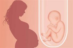 试管婴儿技术主要针对哪些不孕不育症？