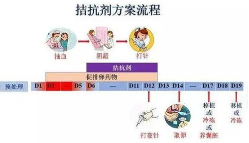 amh偏高或者偏低选择抗结剂方案促排效果会更好