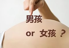 做试管婴儿可以选择宝宝性别吗？