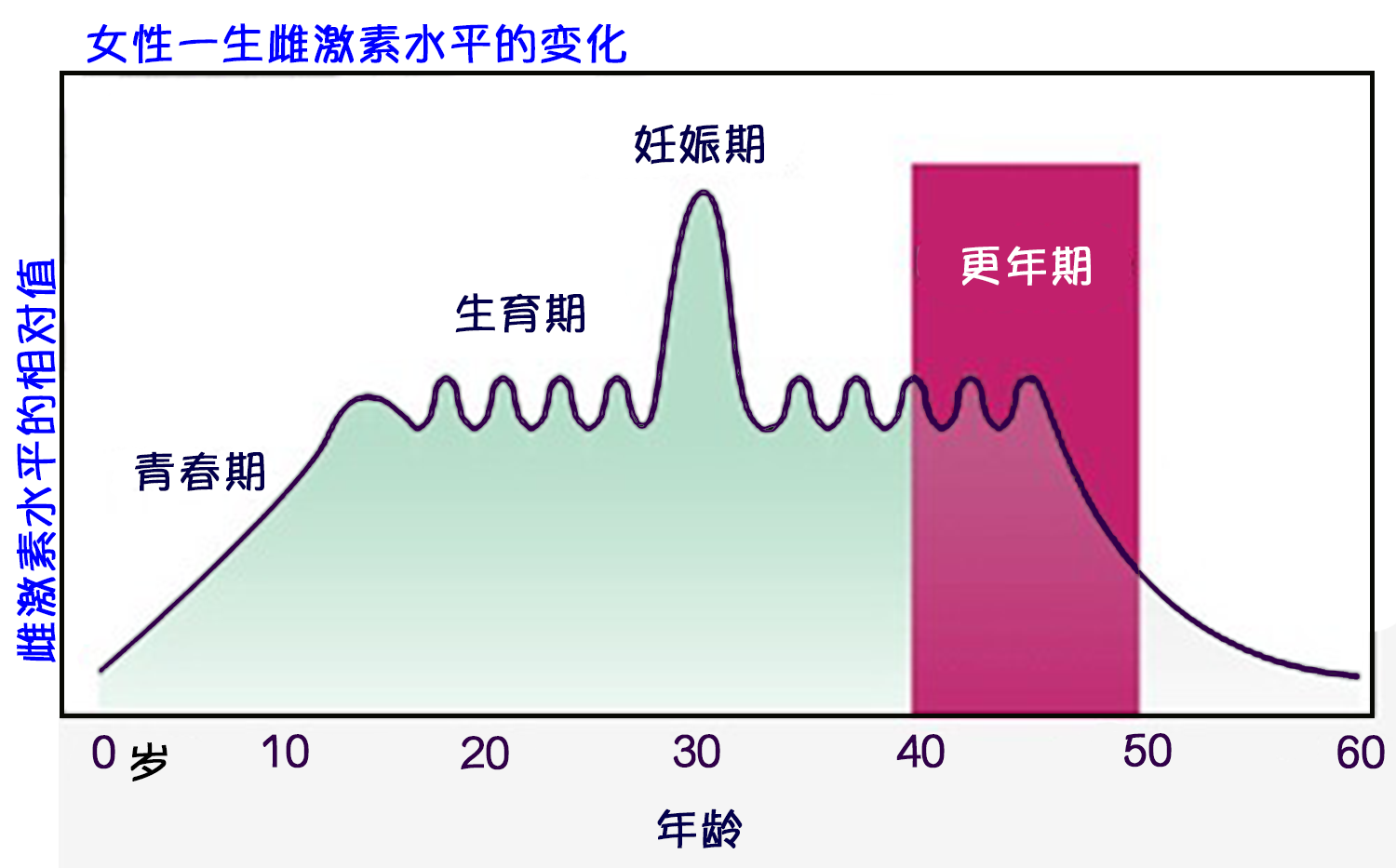 雌激素