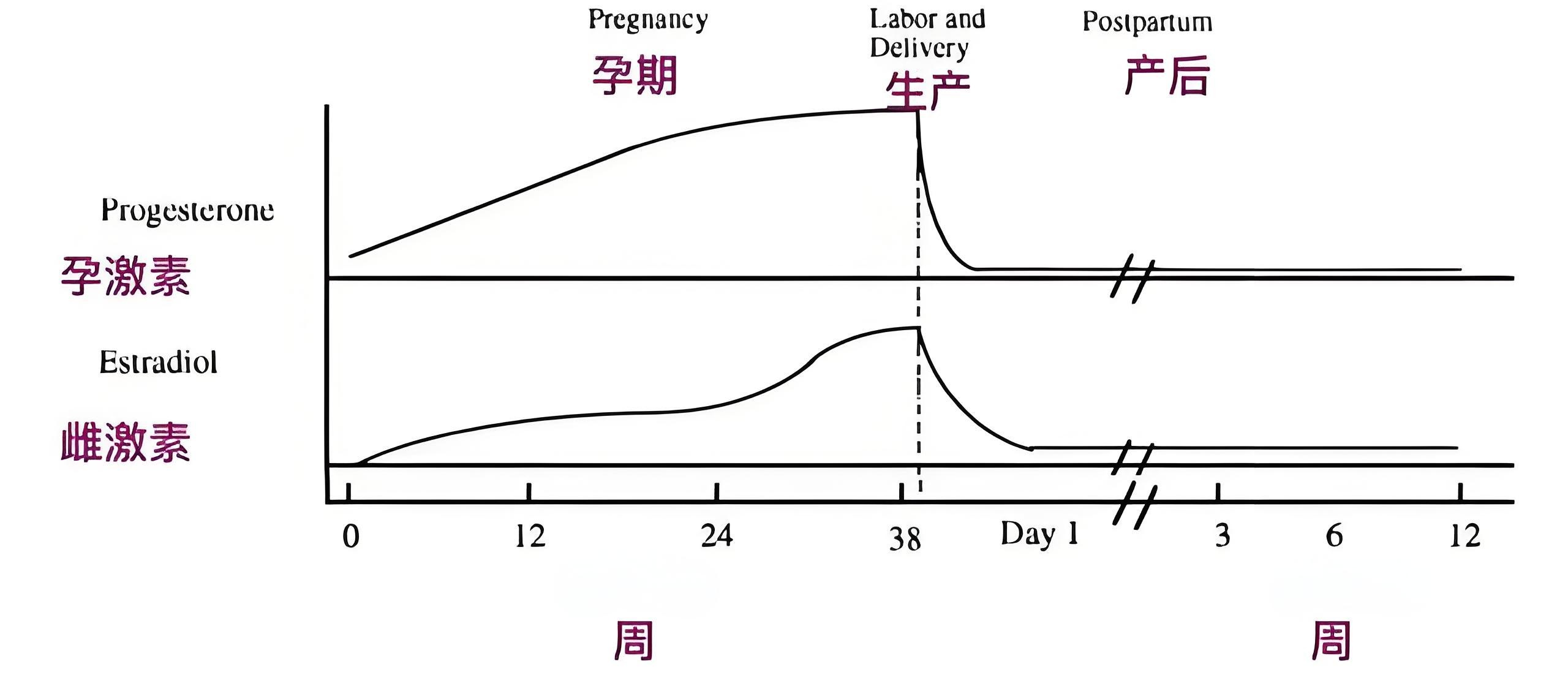 孕激素